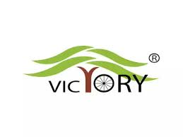 Victory Electric Vehicles logo