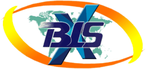 BLSX Limited